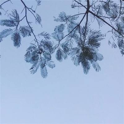 魔界战记之诸神降临下载游戏